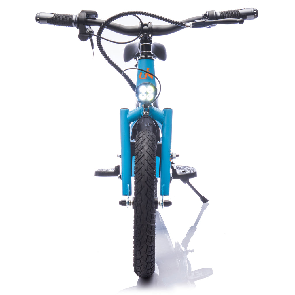 24V Electric Balance Bike For Kids 5-12, 300W Motor Motor, up to 12.5 mph, 16in Wheels, Power Display, Adjustable Seat Height, Hand-Operated Brakes, Ride On Electric Dirt Bike
