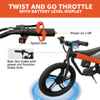 24V Electric Dirt Bike for Kids 8+, 300W Motor, 15.5 mph Max Speed, 15 Miles Range, 3 Speed Mode, Orange